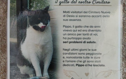 “Pippo ci ha lasciato, grazie per l’affetto dimostrato”