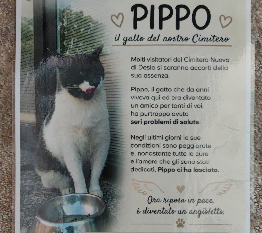 “Pippo ci ha lasciato, grazie per l’affetto dimostrato”